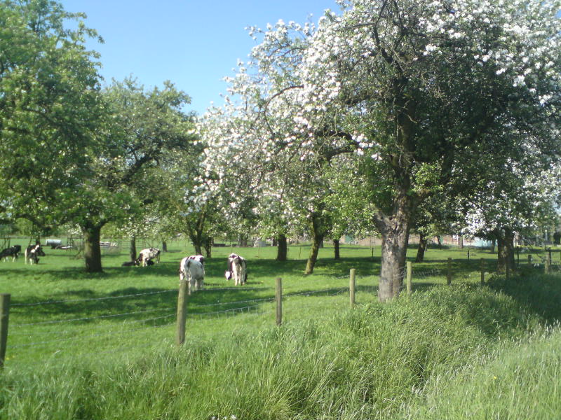 [image-upload-200-789142.jpg]