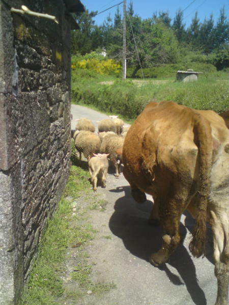 [image-upload-26-705359.jpg]