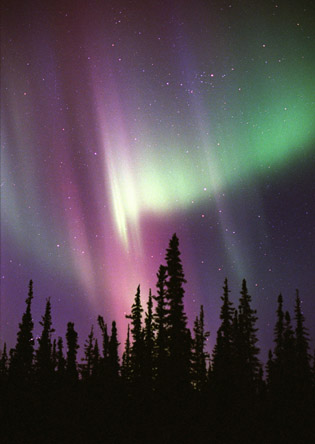 the northern lights!