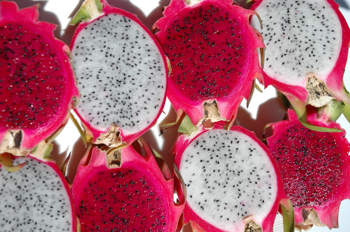 dragon-fruit-red-white1.jpg