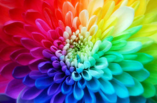 [spring-colors.jpg]
