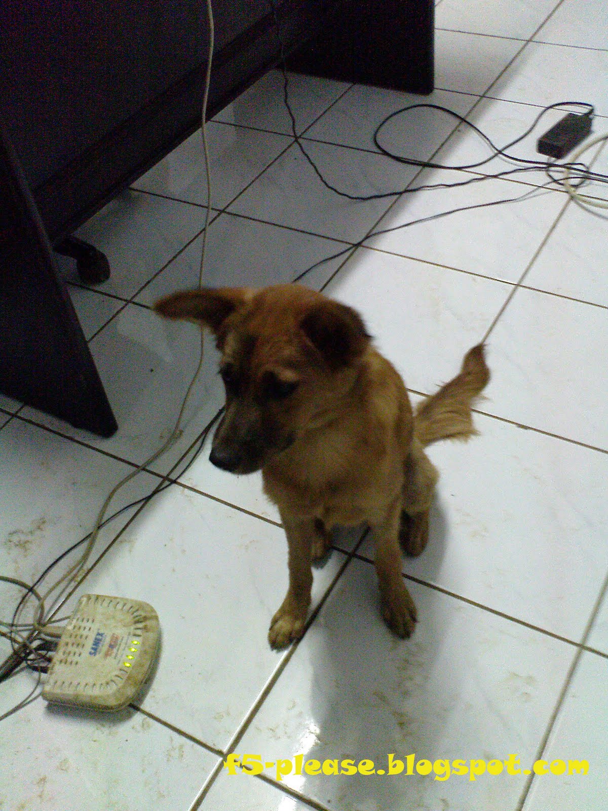 [DSC00278.jpg]