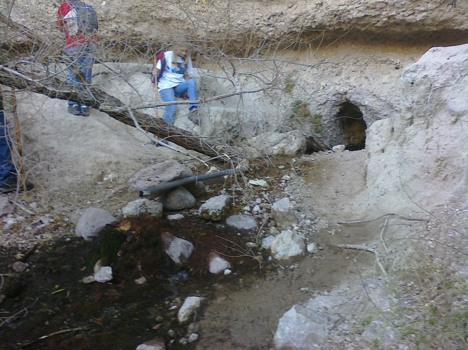 Our Hiking Mystery Hackberry Springs Loop