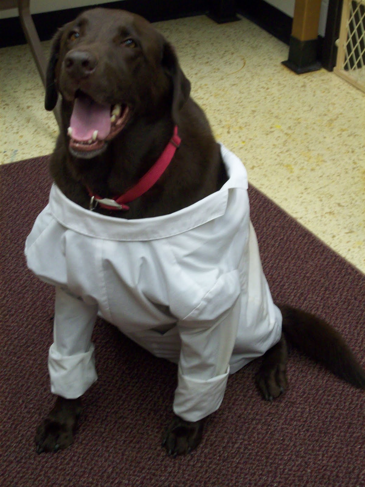 Brokaw Tidbits Lab Coat Friday