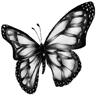 mariposa