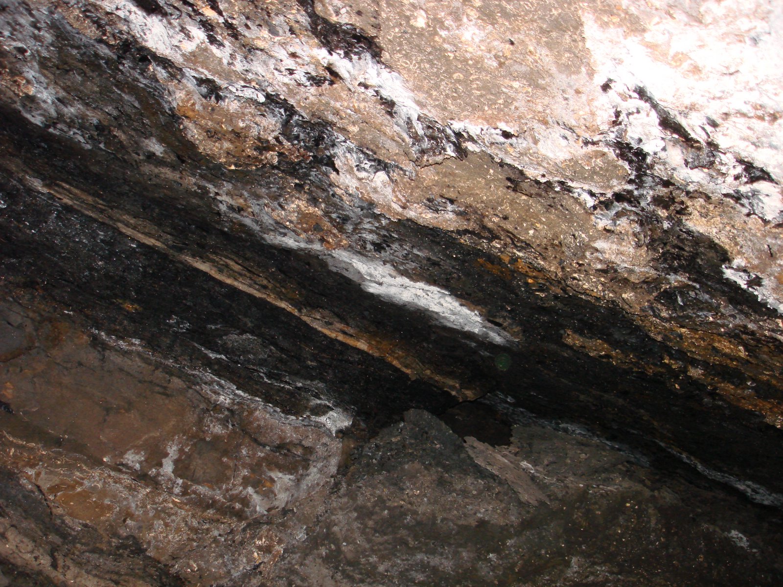 [DSC01063.JPG]