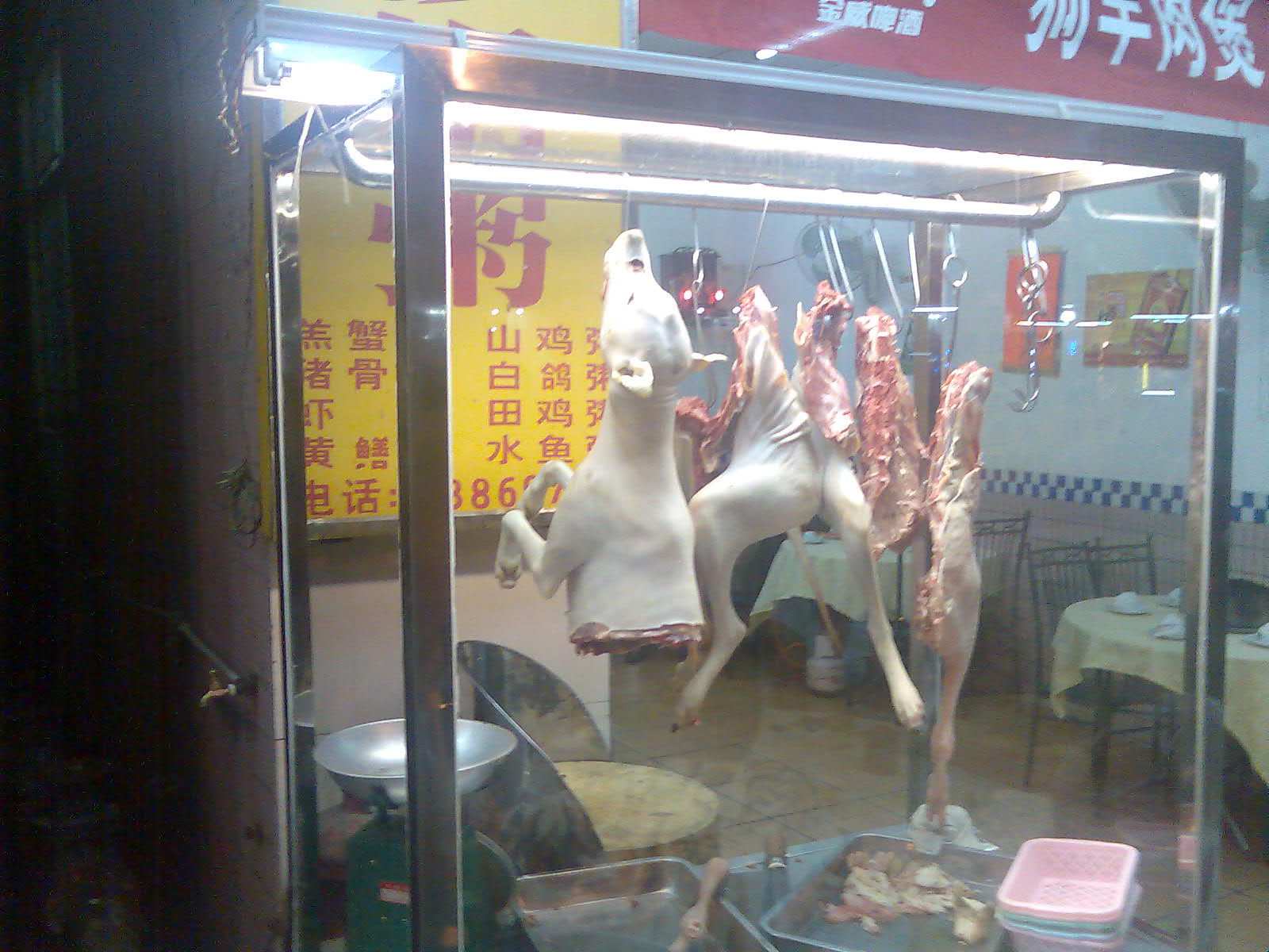 [dog+meat.jpg]