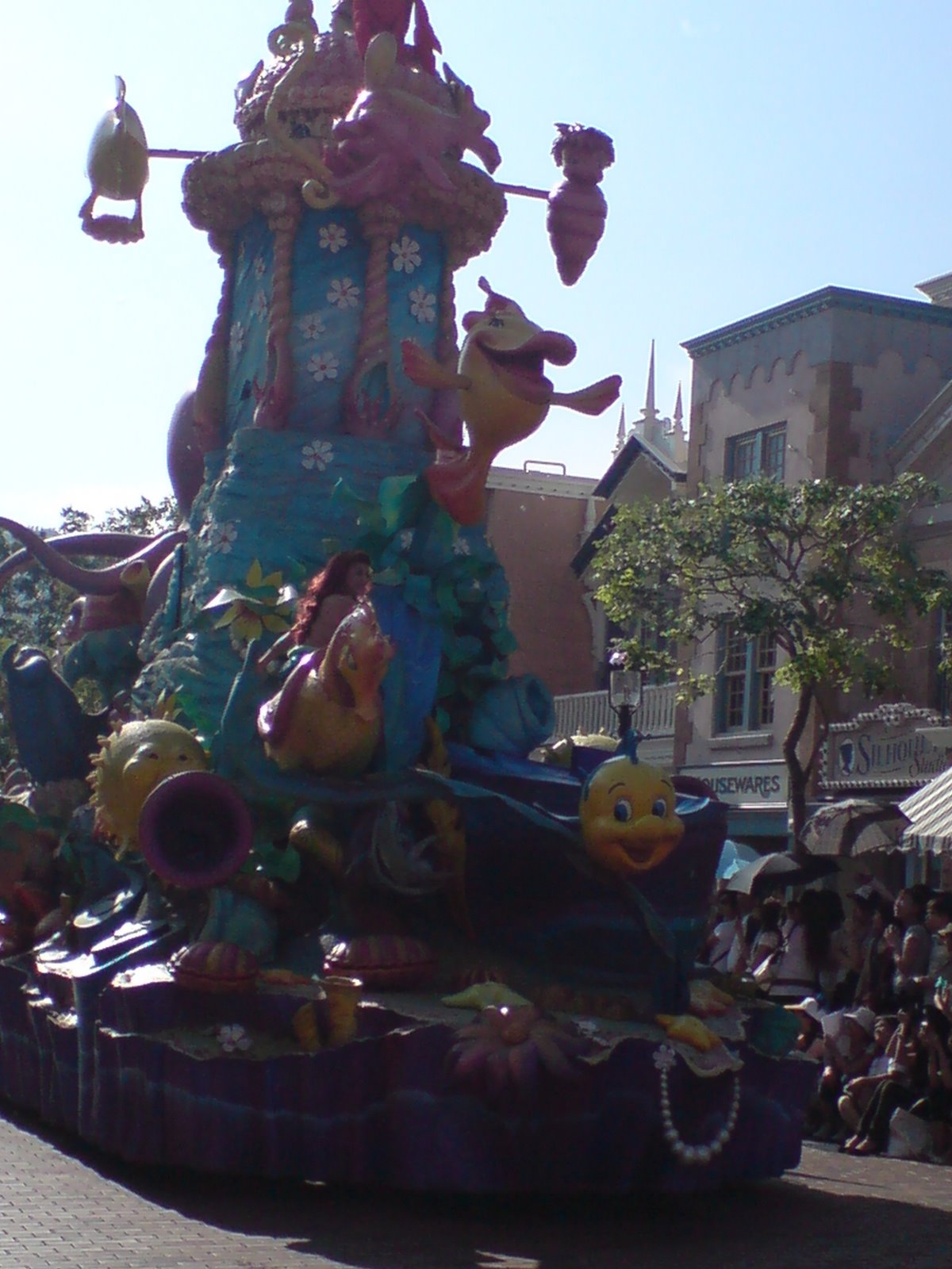 [DSC01041.JPG]