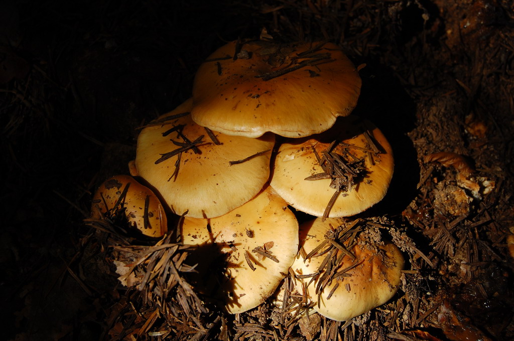 [DSC_1824.JPG]