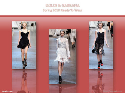 Dolce & Gabbana Spring 2010 Ready To Wear corseted fringe dress