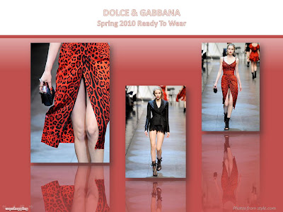 Dolce & Gabbana Spring 2010 Ready To Wear animal-print dress lace jacket