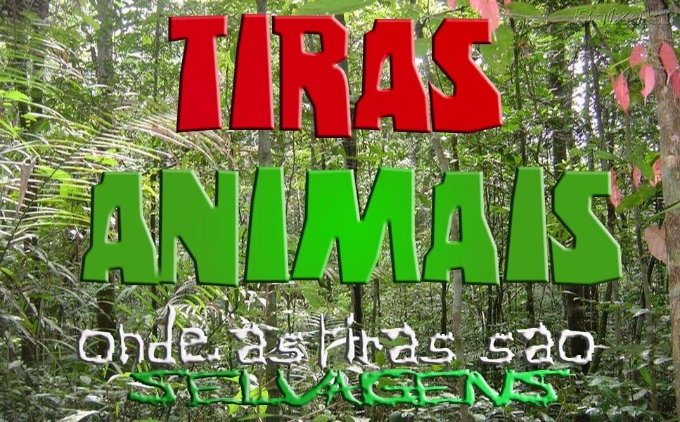 TIRAS ANIMAIS