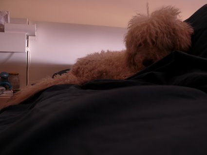 [P1110009.jpg]