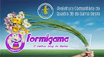 blog Formigama