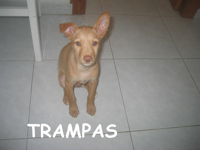 TRAMPAS