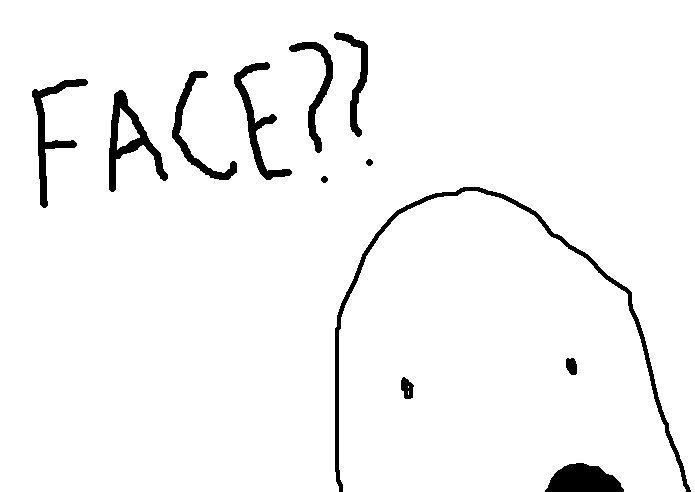 [face.bmp]