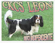 CAVALIER-FRIEND-LEON