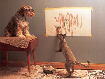 Why Cats Paint - gatos artistas