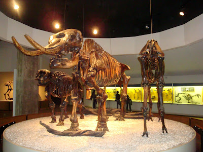Brea Tar Pits
