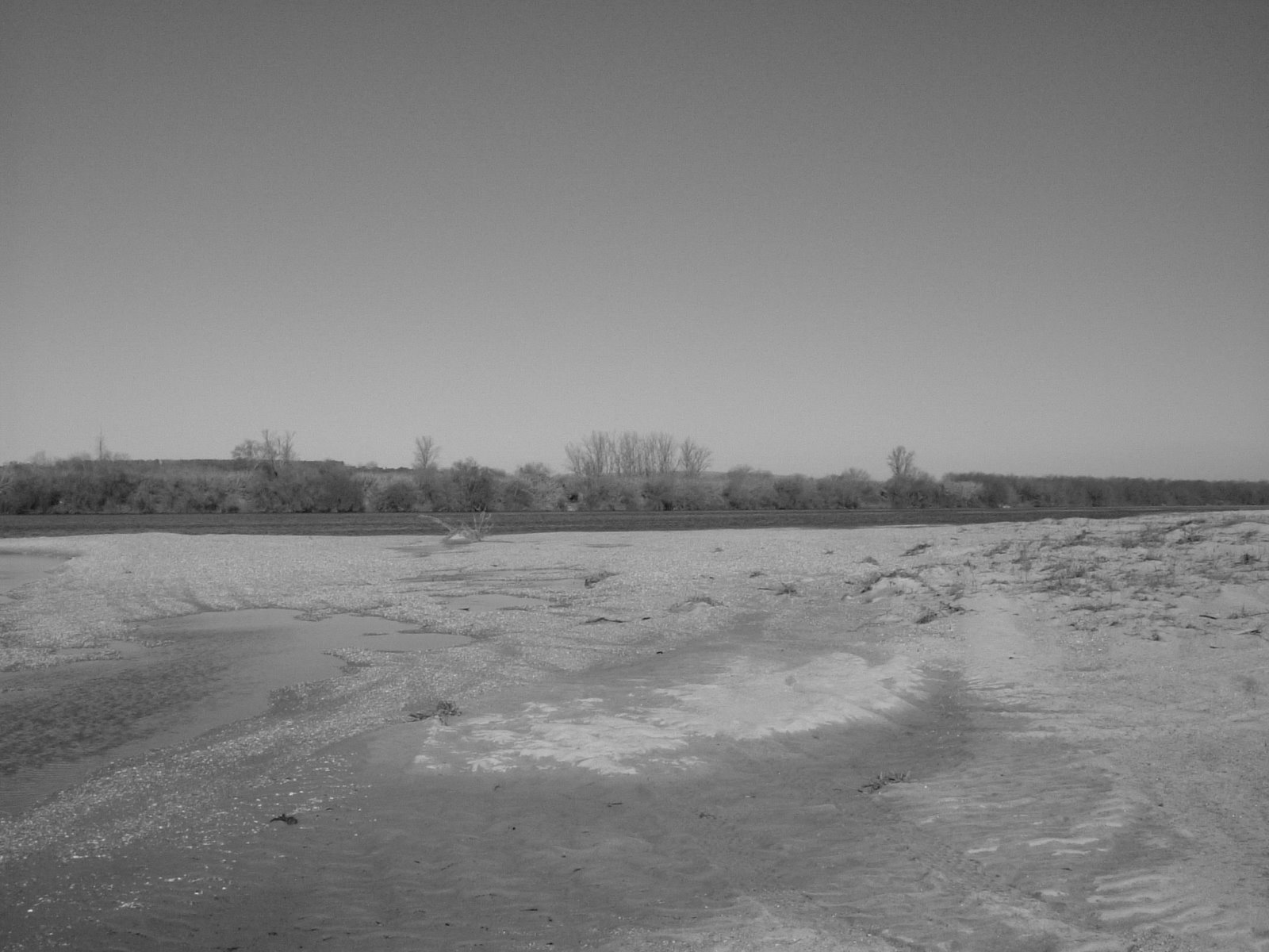 [DSCF0225.JPG]