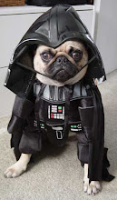 darth-vader-dog-costume.jpg