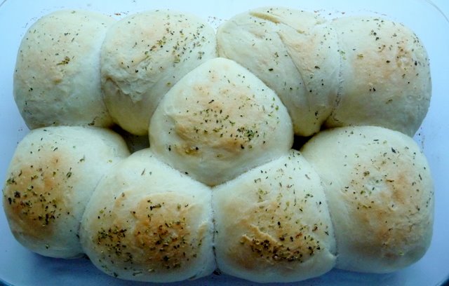 Yeast dinner roll recipes