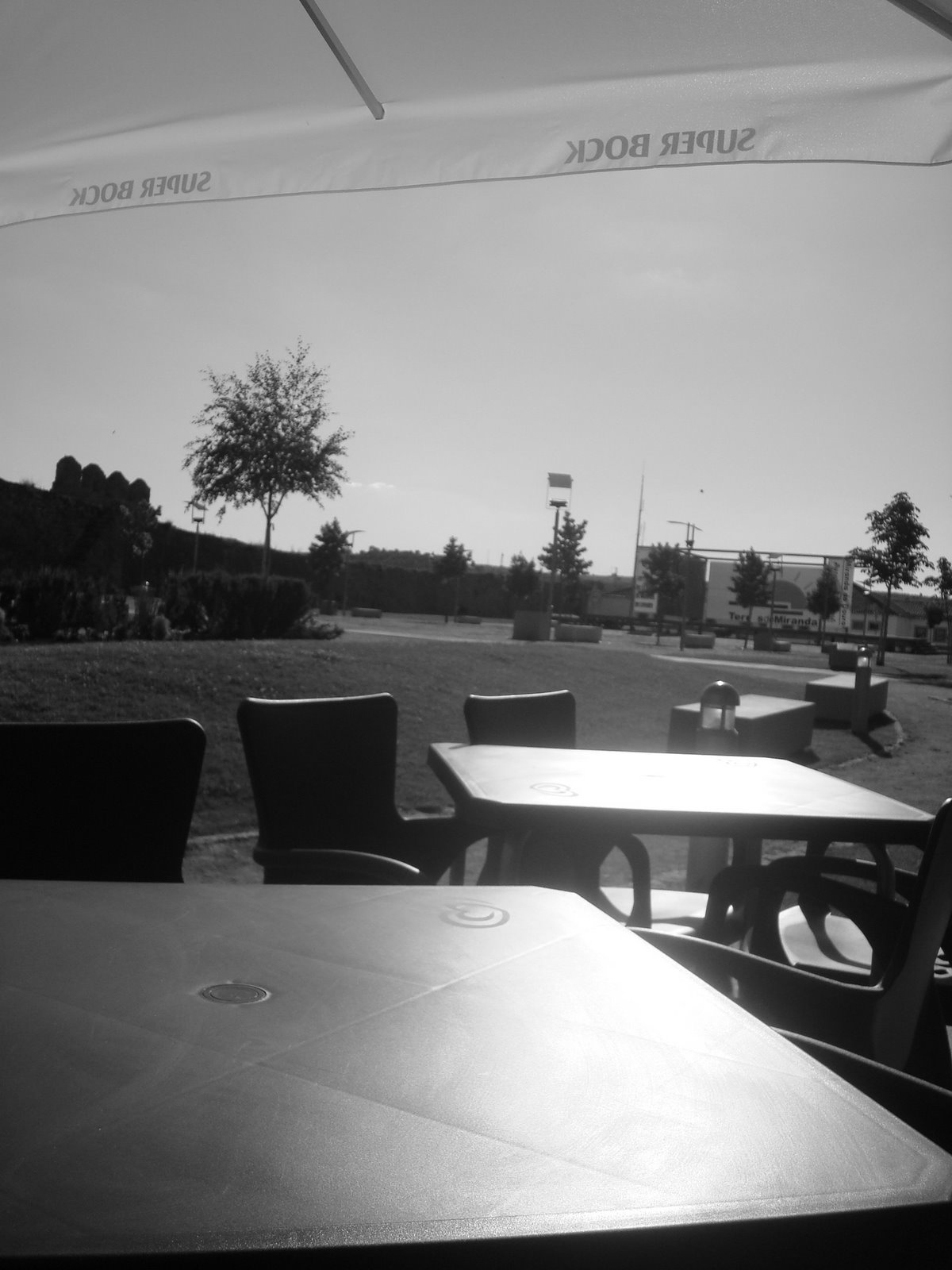 [DSC03687.JPG]