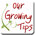 Growing Tips for Easy Gardening