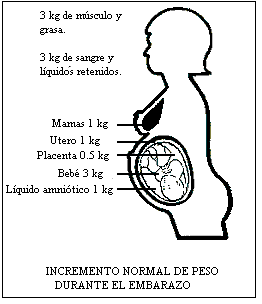 peso durante el embarazo
