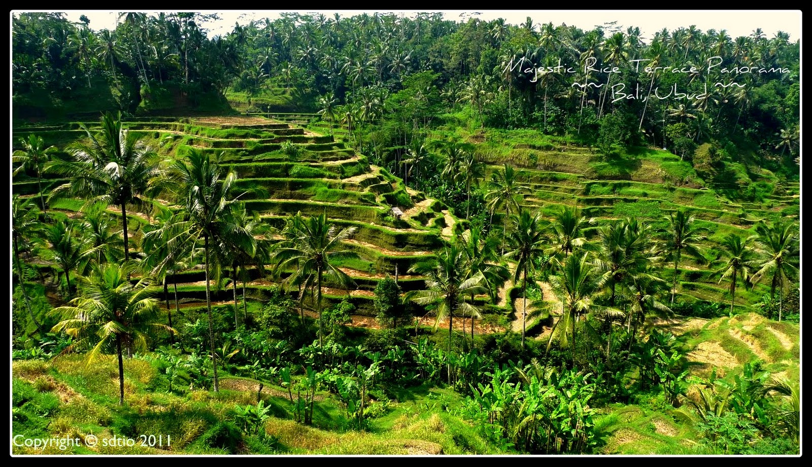 Download this Ubud Really Phenomenal... picture