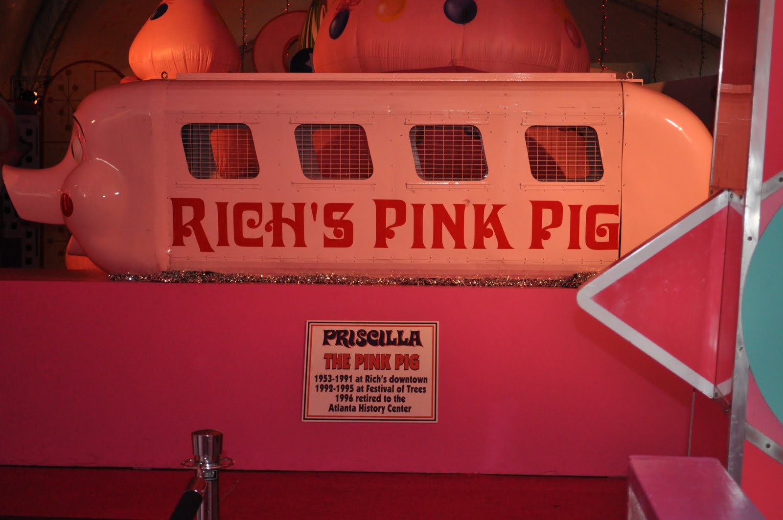 Jason, Megan, McKenzie, Landon, and Matthew Macy's Pink Pig