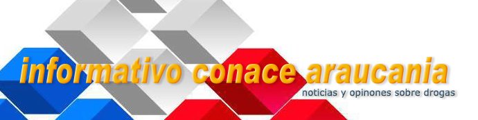 Informativo CONACE Araucanía
