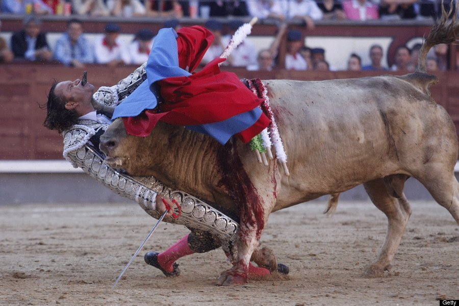 Killing Bulls