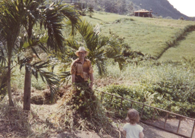 Dad posing next to a pile of weeds