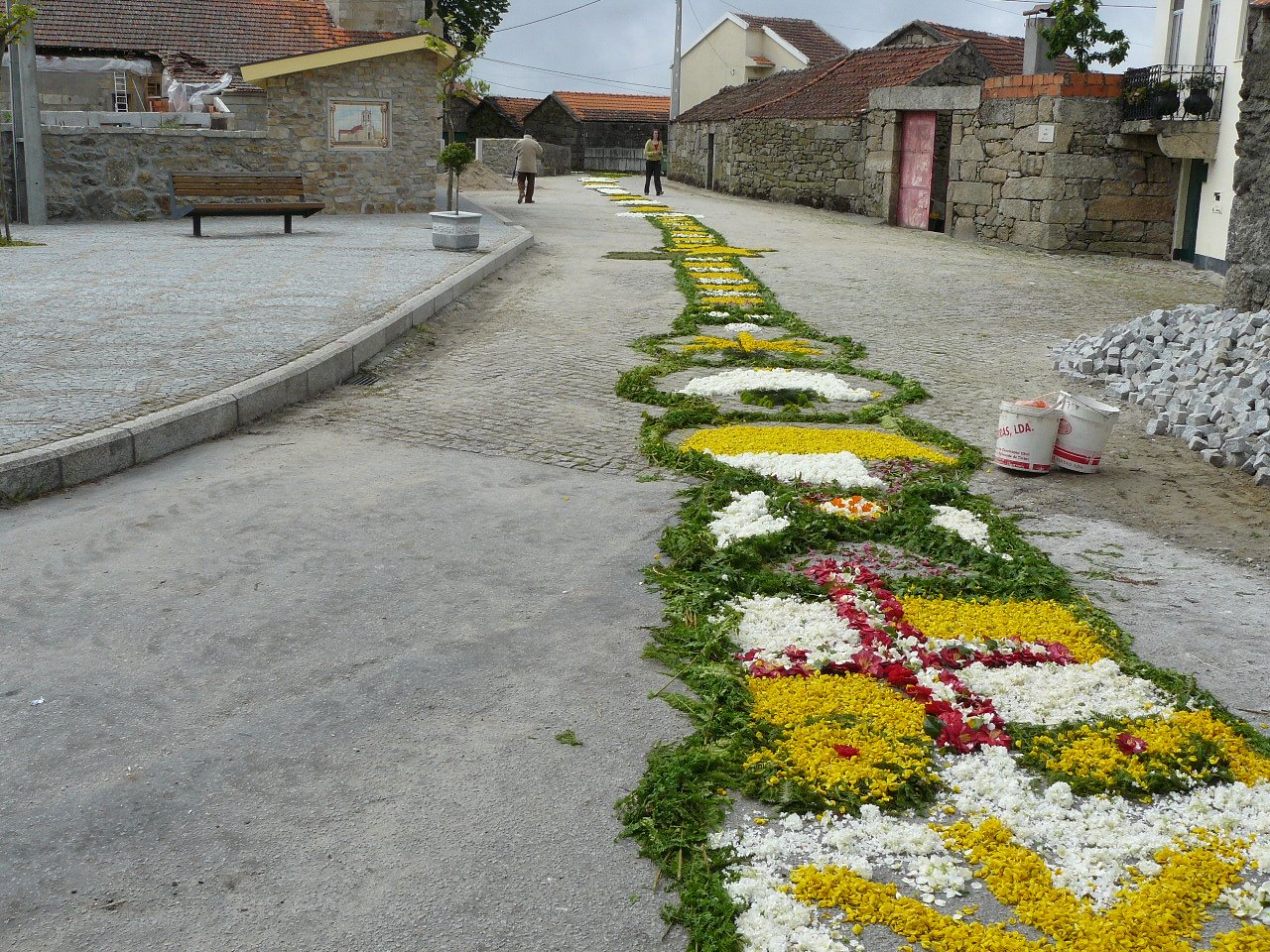[P1020141.JPG]