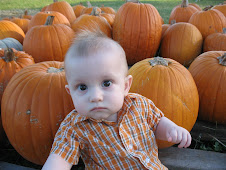Pumpkin Patch