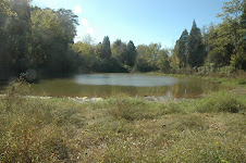1. Tommy Schumpert Pond, Seven Islands Wildlife Refuge