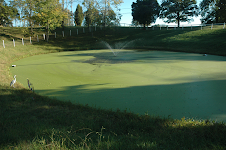 4. Horse Farm Pond, Carter Mill Road