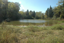 1. Tommy Schumpert Pond, Seven Islands Wildlife Refuge