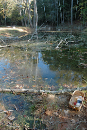 3. Carter Mill Park at spring source