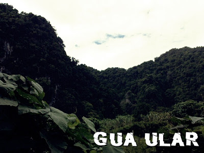 gua ular