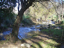 Ribera arroyo de la Miera, Valencia de Alcántara