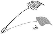 Swat The Fly