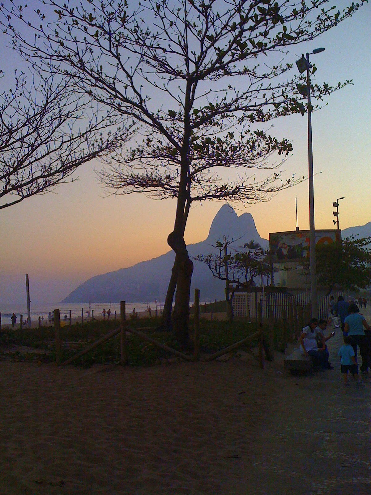 [IMG_0419.JPG]