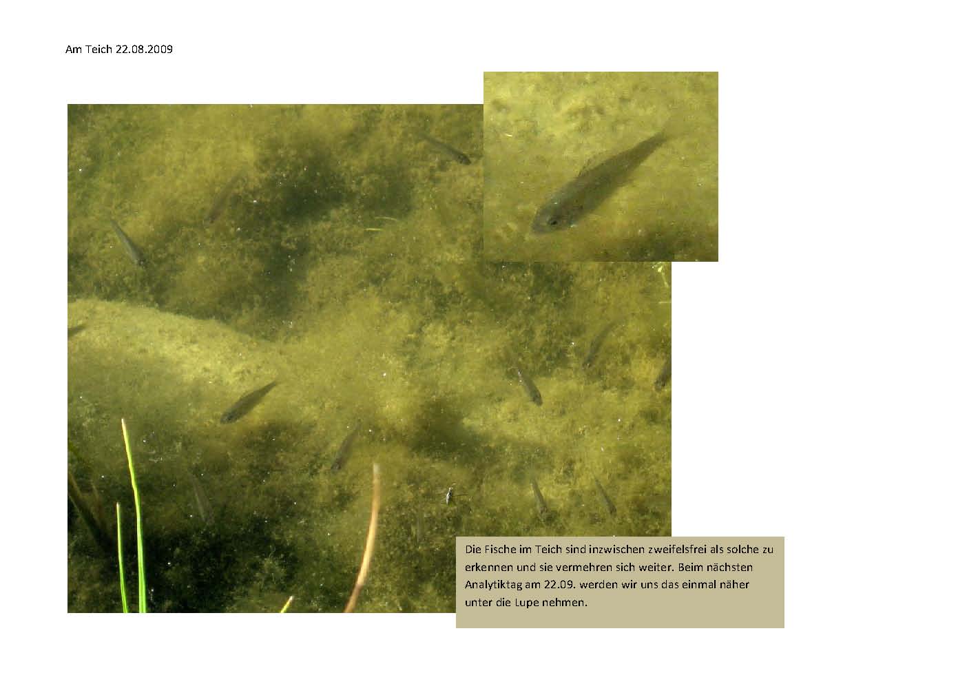 [teich+22.08..jpg]