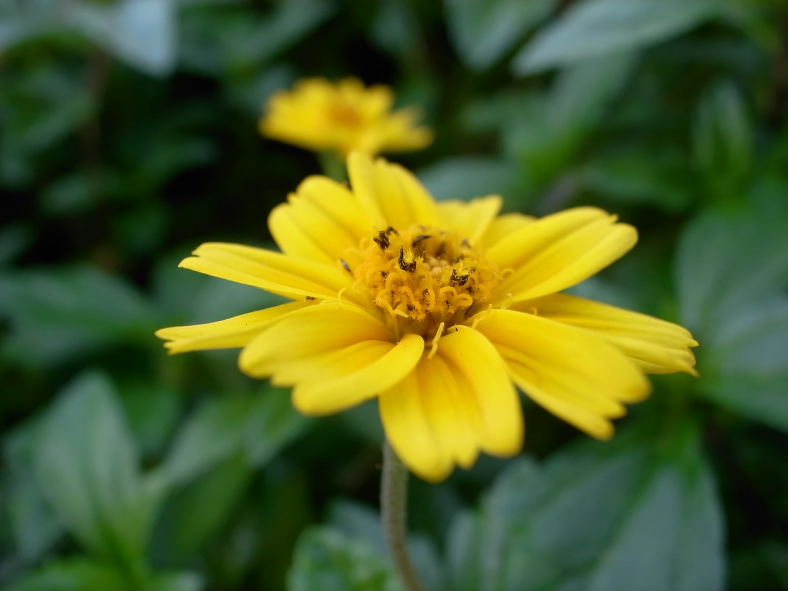 [_0011815.JPG]