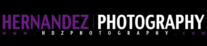 HDZ Photography Studio