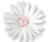 Blog con tutorial e schemi