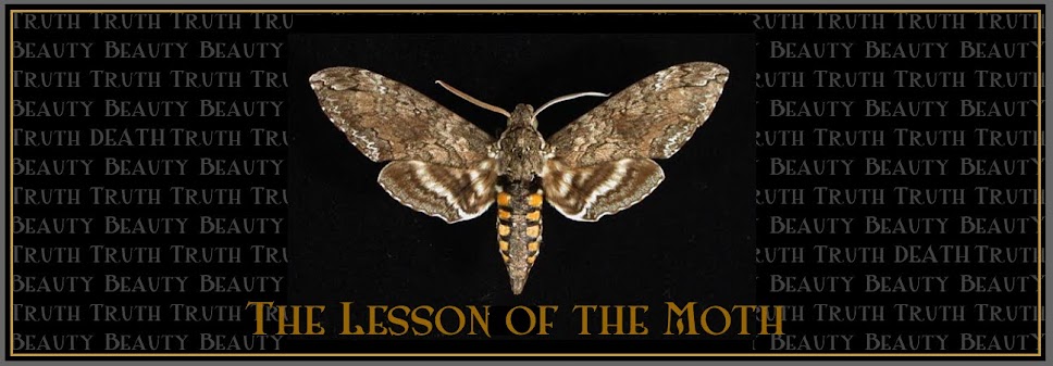 The Lesson of the Moth