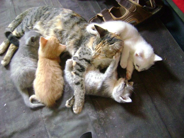 [DSC01088.JPG]